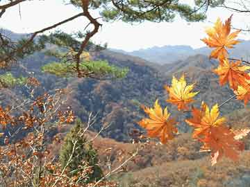 土耳其主要股票指数BIST-100扩大跌幅，现下跌9%|界面新闻 · 快讯